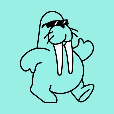 Walrus
